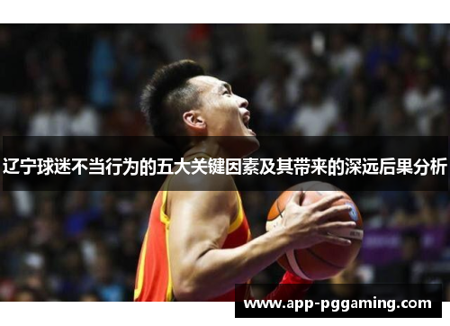 辽宁球迷不当行为的五大关键因素及其带来的深远后果分析