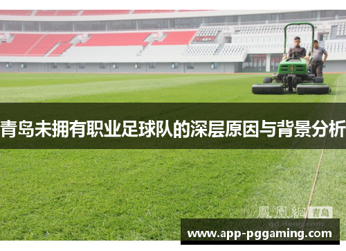 青岛未拥有职业足球队的深层原因与背景分析