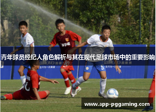 青年球员经纪人角色解析与其在现代足球市场中的重要影响 青年球员经纪人角色解析与其在现代足球市场中的重要影响