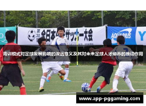 青训模式对足球发展影响的深远意义及其对未来足球人才培养的推动作用