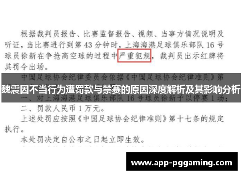 魏震因不当行为遭罚款与禁赛的原因深度解析及其影响分析